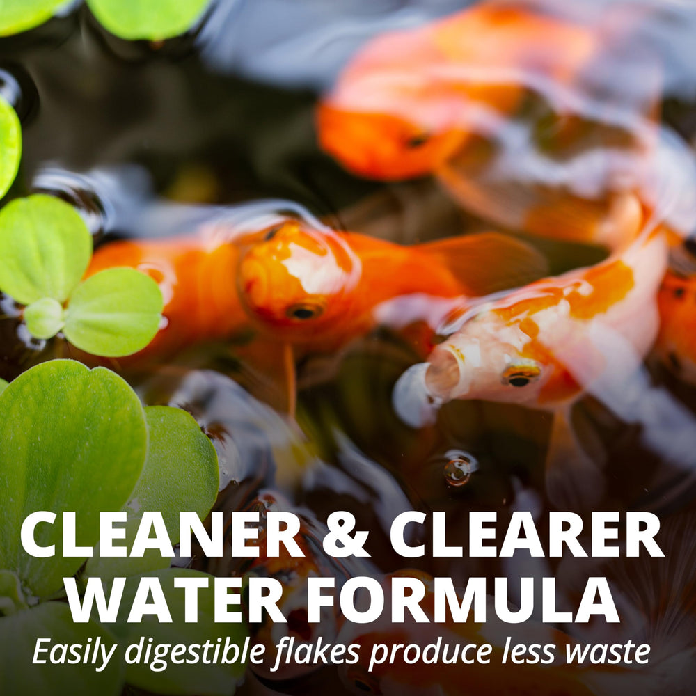 Tetra Pond Flakes: boîte refermable assurant fraîcheur et conservation.