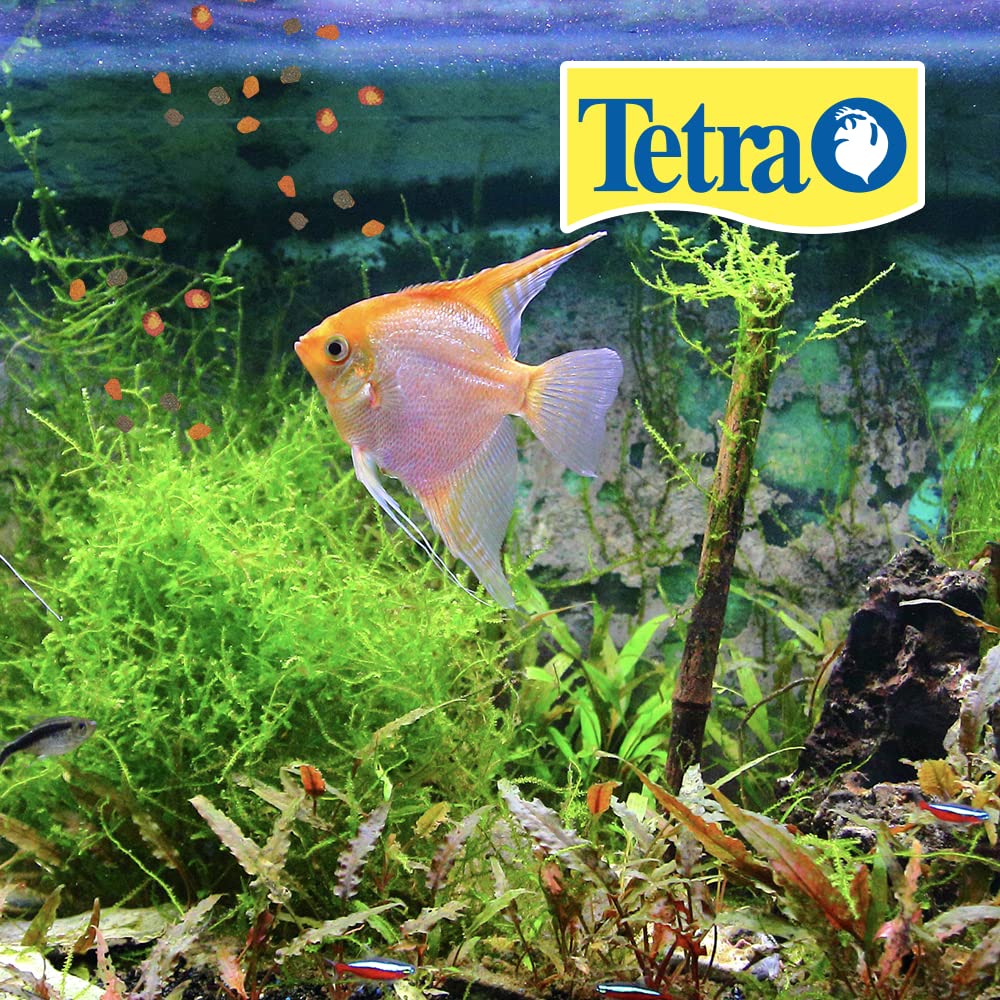 TetraPro Tropical Crisps, texture croustillante, eau plus claire.