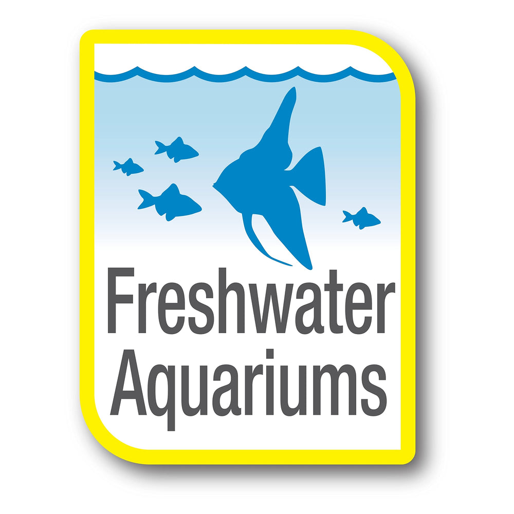 Bactéries vivantes de Tetra SafeStart Plus dans l’aquarium.