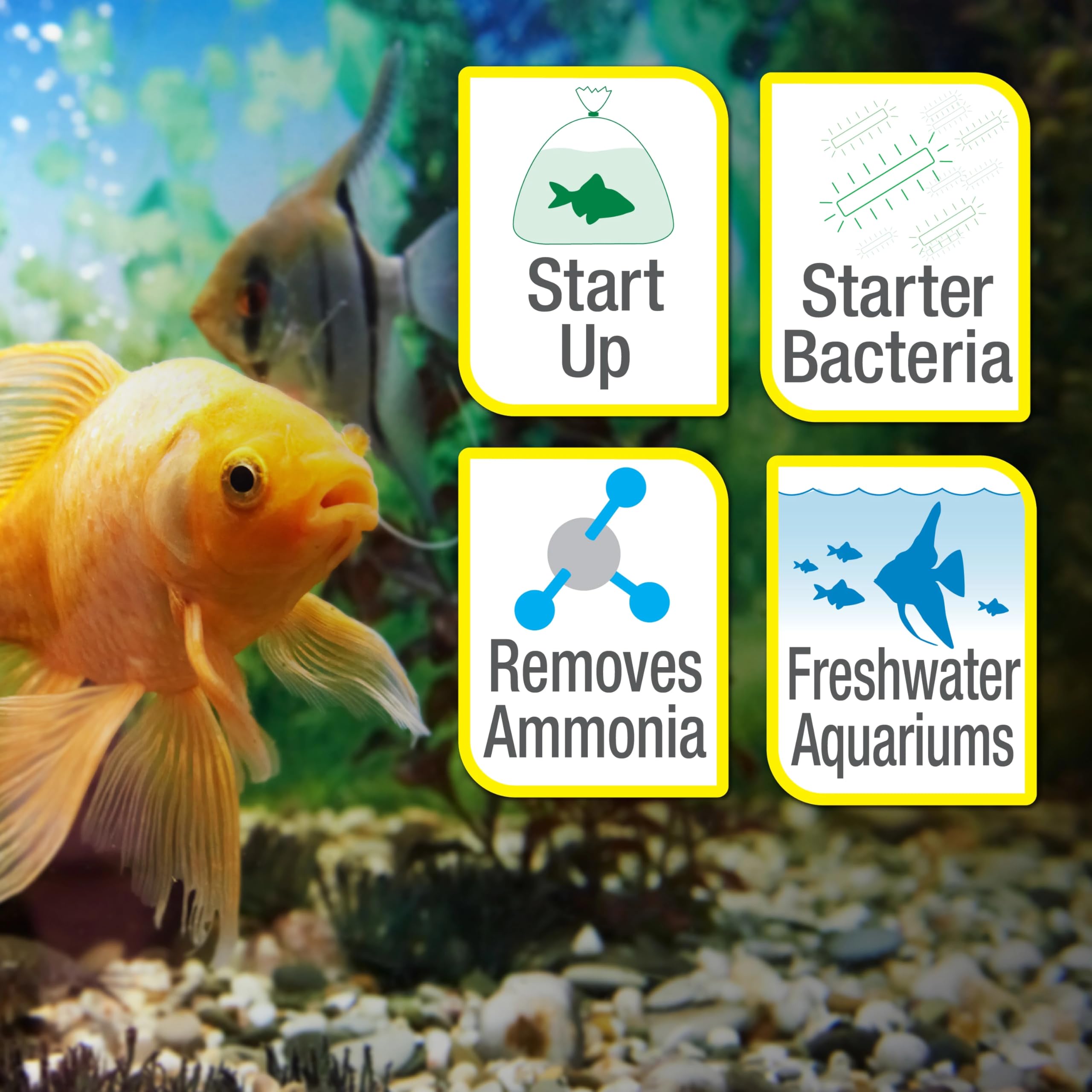Tetra SafeStart Plus – idéal lors de l'installation avec de nouveaux poissons.