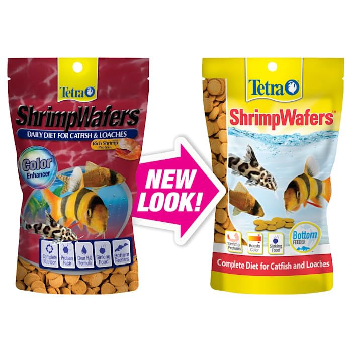 Tetra ShrimpWafers galettes coulantes en aquarium, aliment quotidien pour poissons du fond.