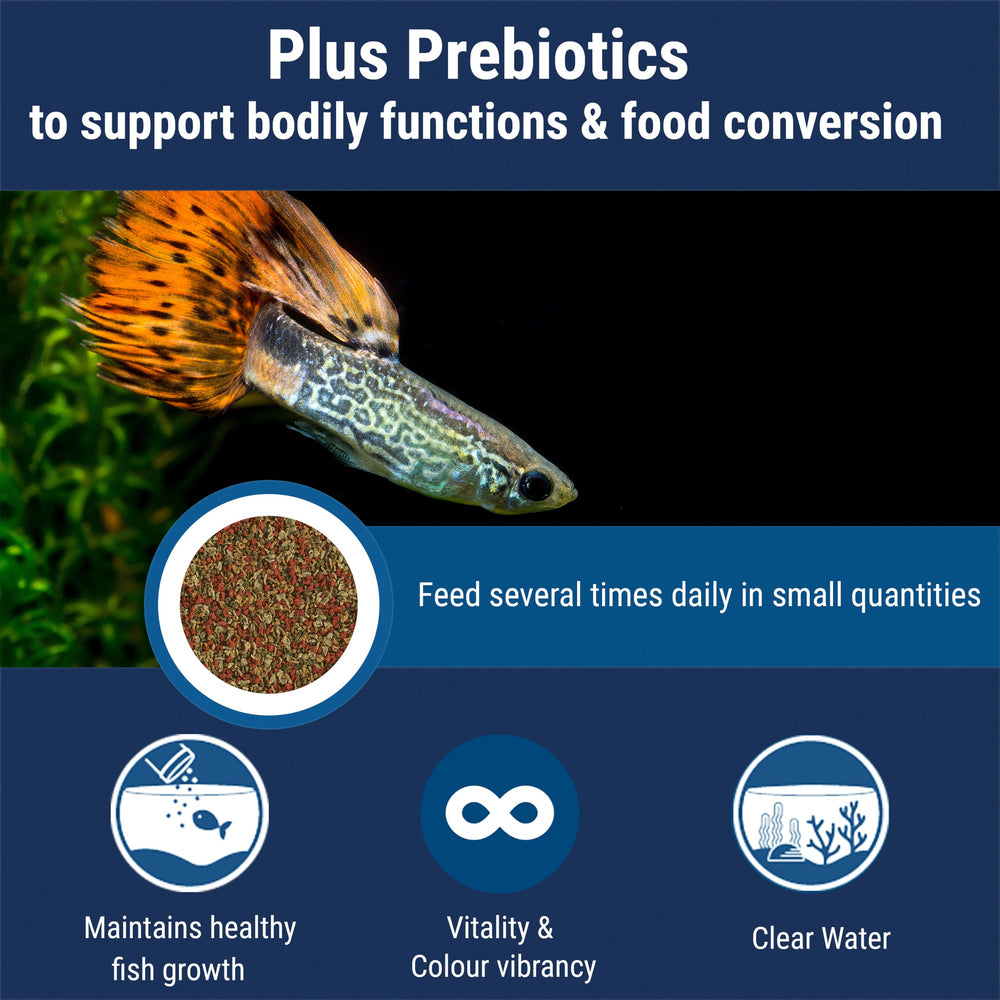 Flocons TetraMin visibles, formulation tropicale pour poissons d’aquarium actifs.