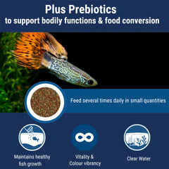 Flocons TetraMin visibles, formulation tropicale pour poissons d’aquarium actifs.