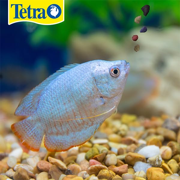 Gros plan sur les granulés TetraMin Tropical, texture fine.