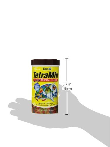 Premier plan sur la formule Active Life de TetraMin XL pour soutien nutritionnel.