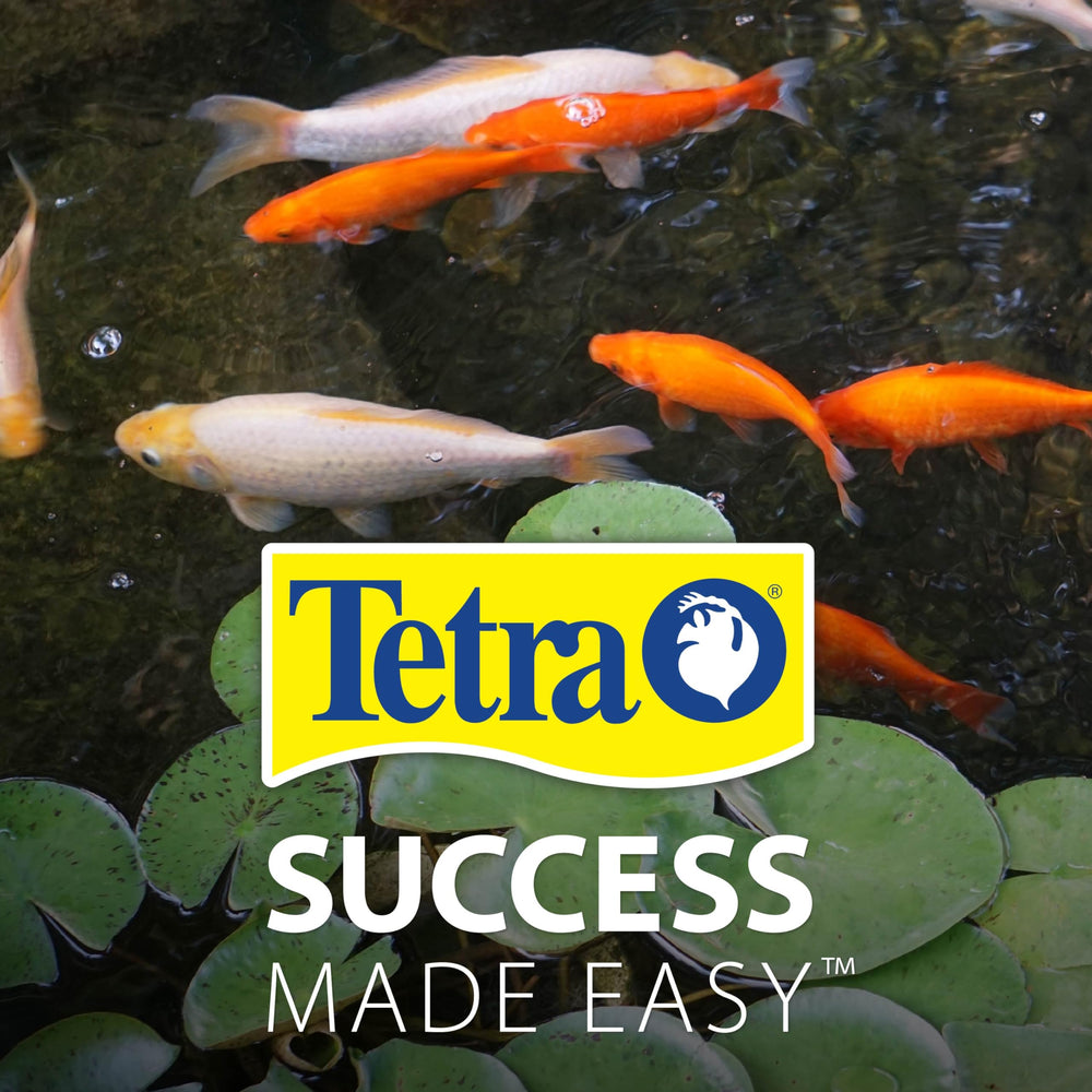 TetraPond Batonnet étang eau plus pure grâce à une nutrition adaptée.