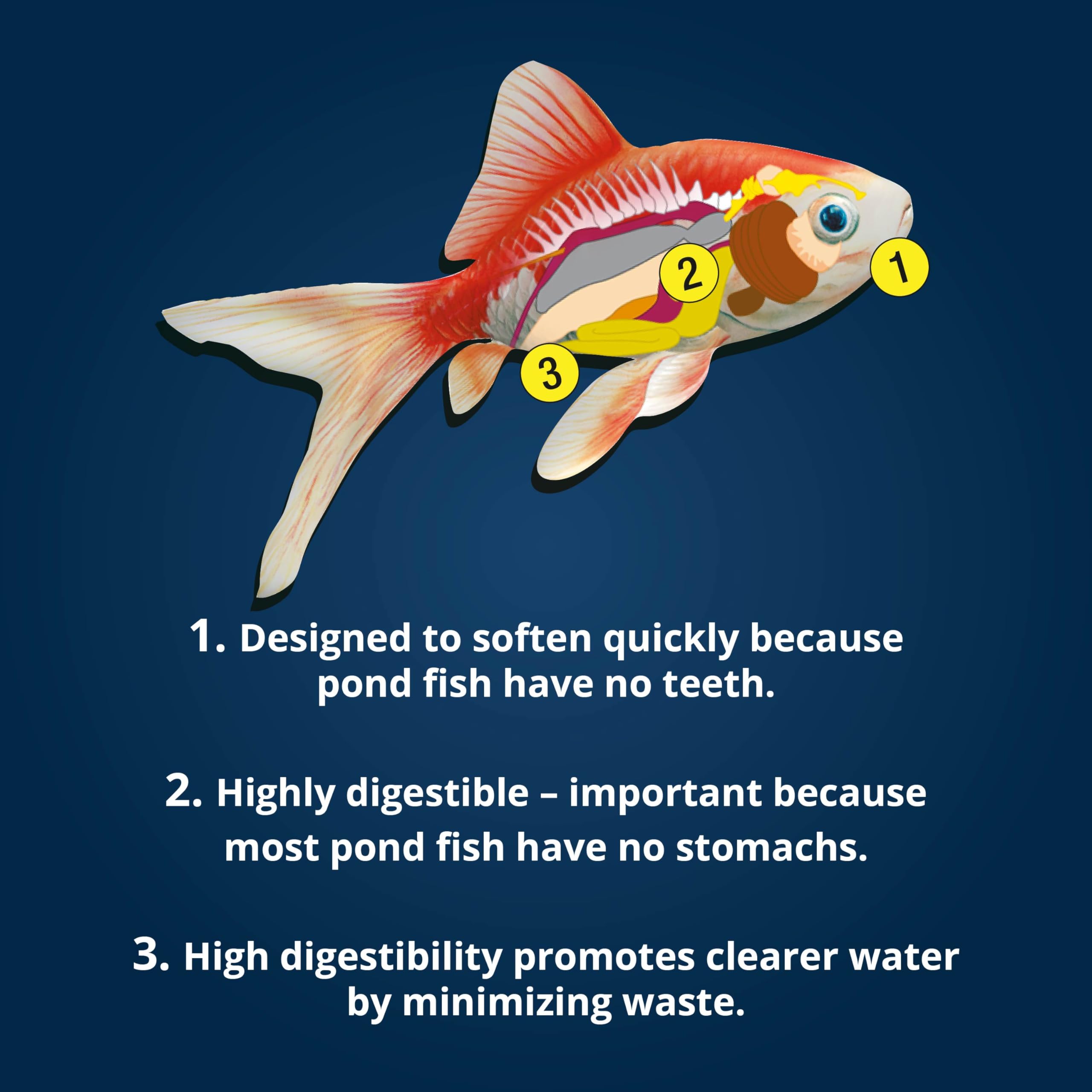 TetraPond – digestibilité élevée, réduction potentielle des déchets.