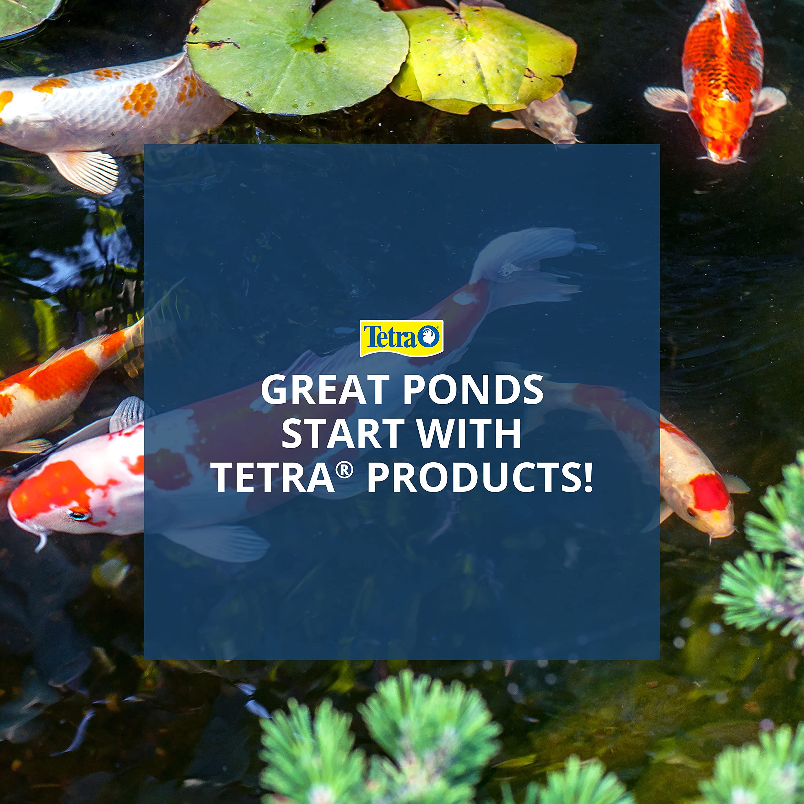 TetraPond Koi Growth : emballage propre facilitant le stockage et l’utilisation régulière.