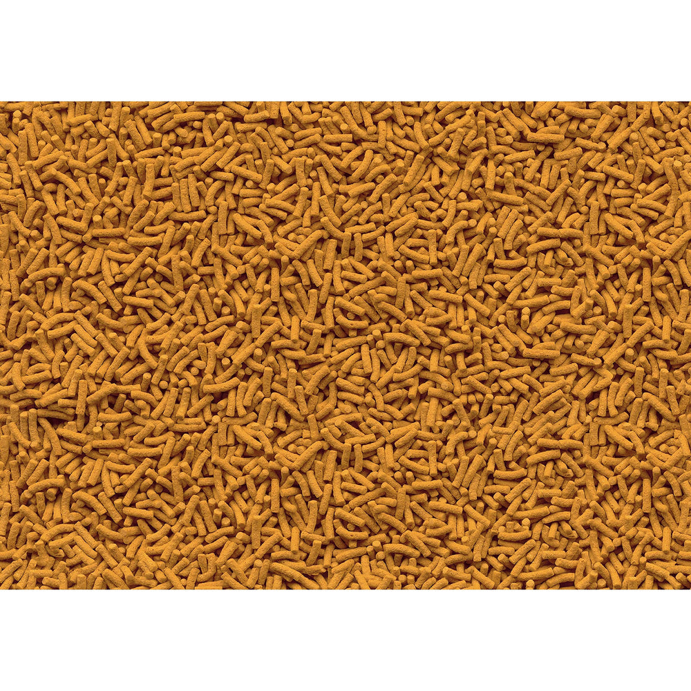 TetraPond Koi Vibrance – nourriture koï flottante favorisant couleurs vives et croissance saine.