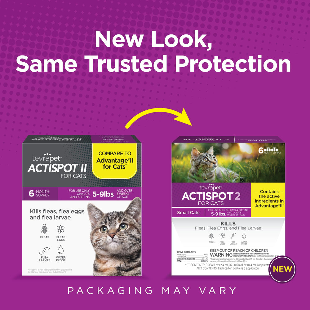 TevraPet Actispot II pack six doses pour une protection durable.