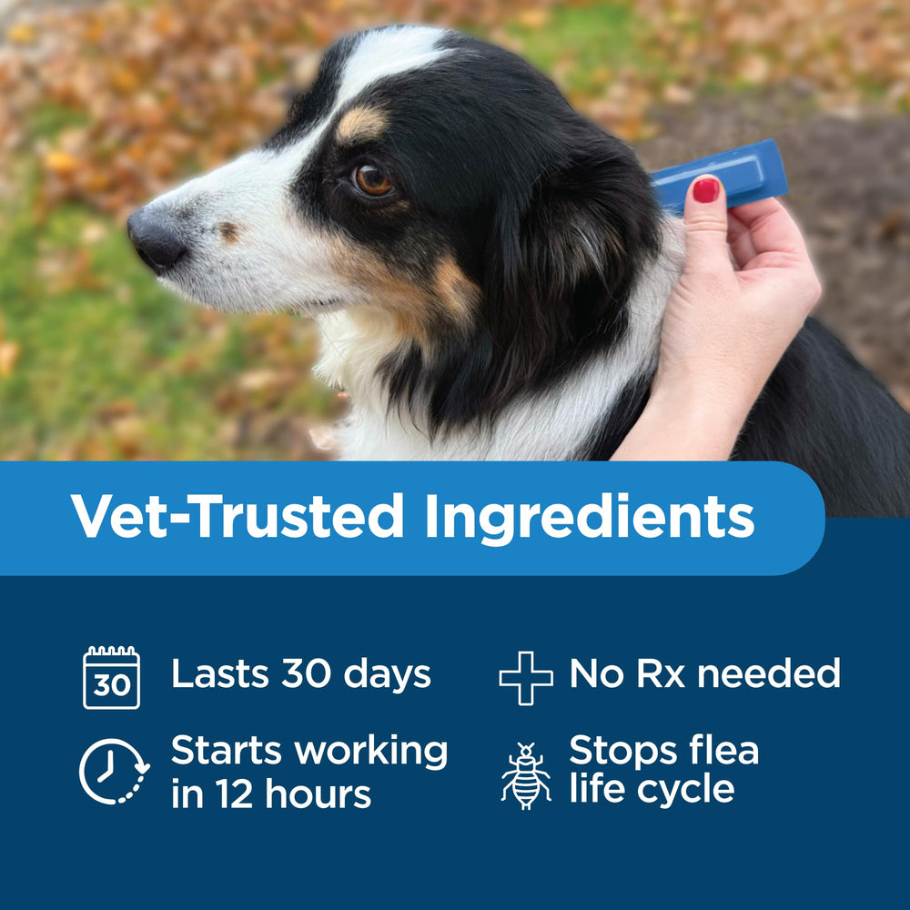TevraPet Activate II – comparaison avec K9 Advantix II sur ingrédients actifs.