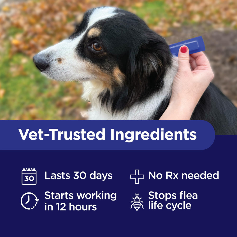 TevraPet Activate II : ingrédients actifs Imidacloprid, Perméthrine et Pyriproxyfen.