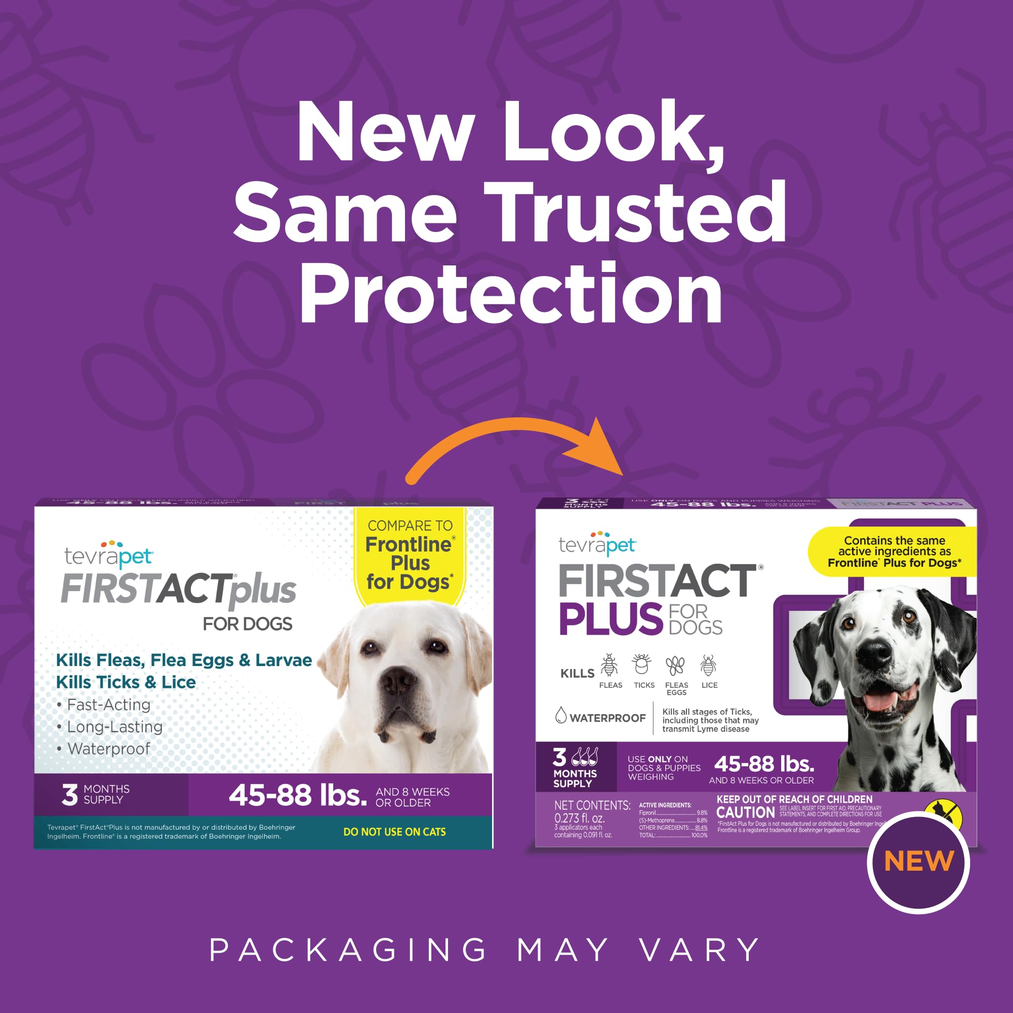Applicateur nuque TevraPet FirstAct Plus, application simple et pratique.