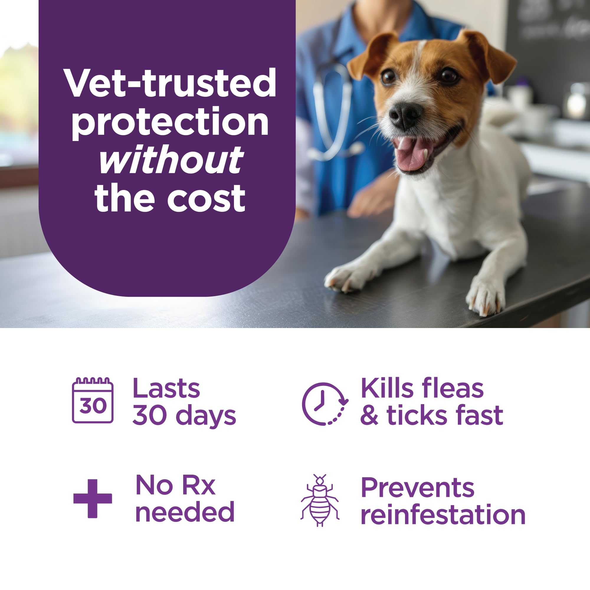 Protection corporelle totale avec TevraPet FirstAct Plus durant 30 jours.