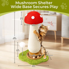 TEWIWAP Balle-track – jouet interactif stimulant l'instinct de chasse du chat.