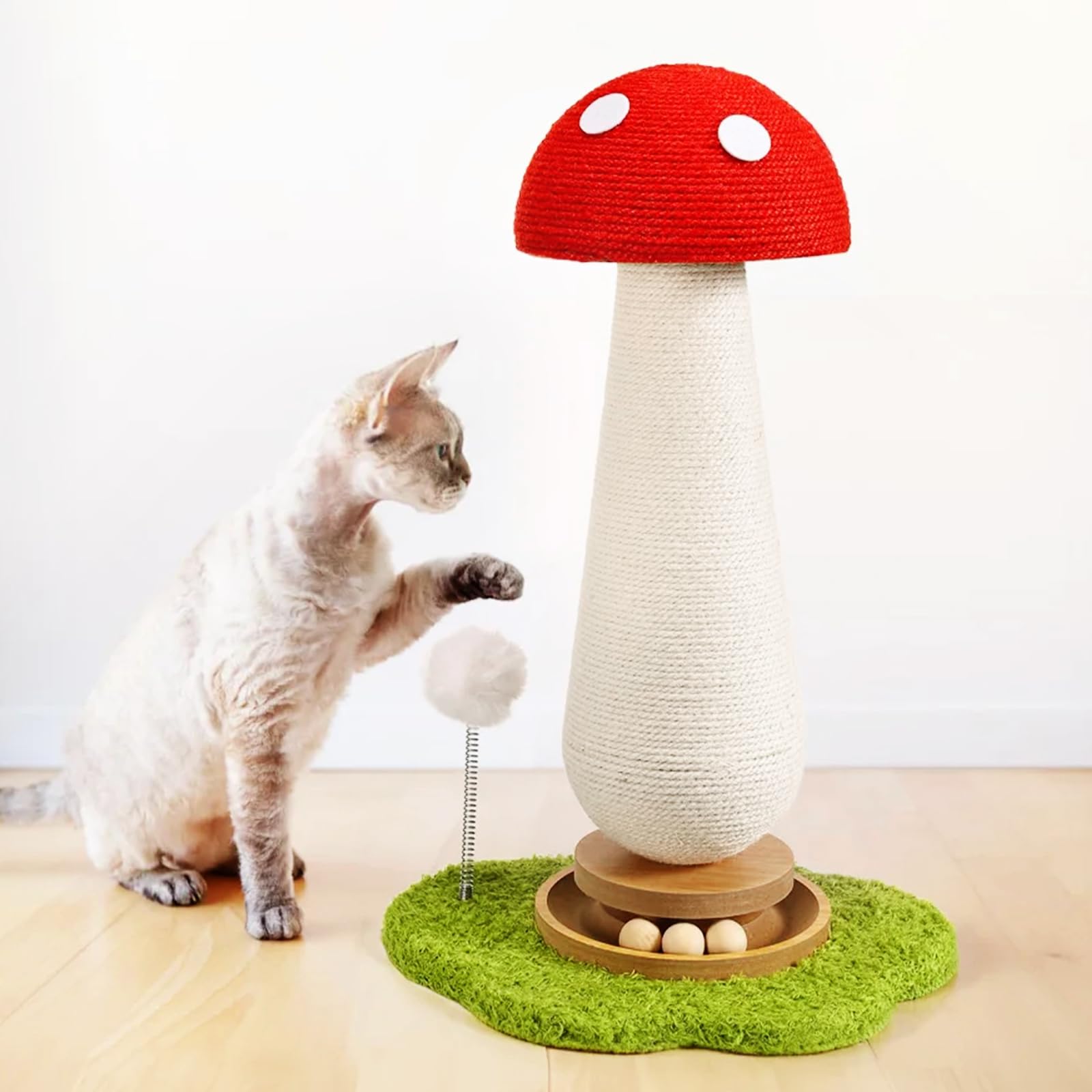 TEWIWAP Espace Jeux Intérieur – parfait pour divertir chats adultes et chatons.
