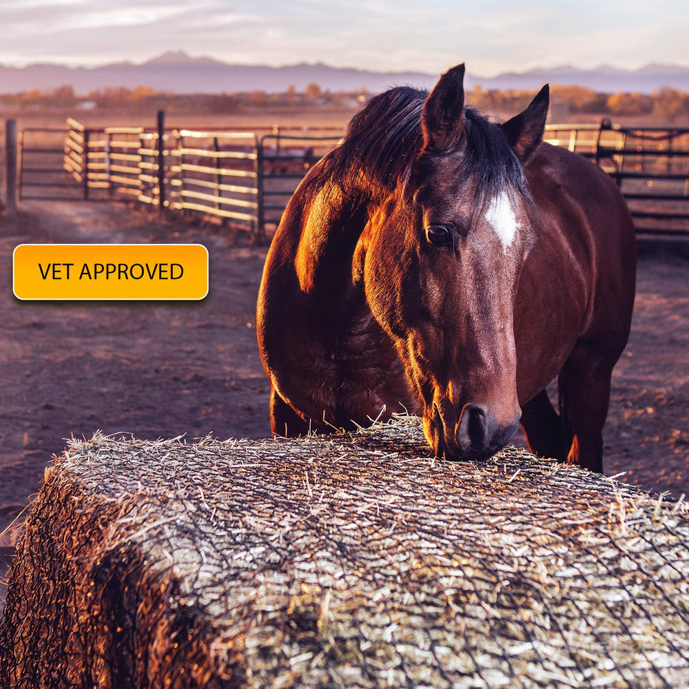 Texas Haynet – fabrication américaine et robuste.