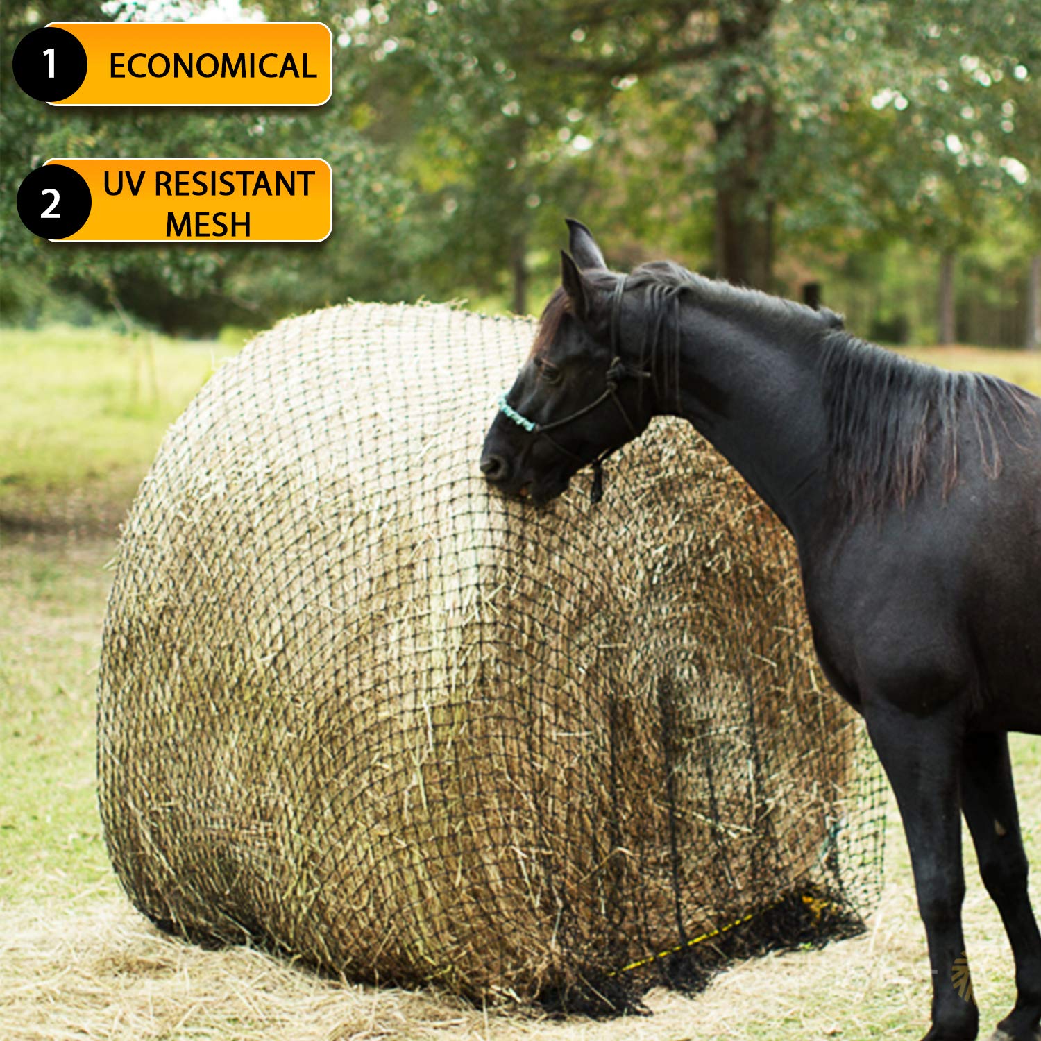 Texas Haynet – utilisation quotidienne simple pour chevaux.