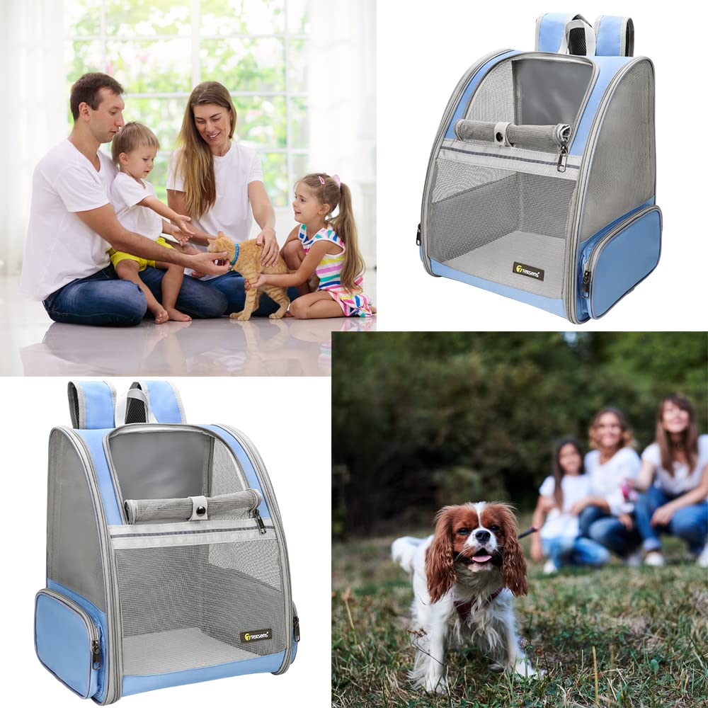 Texsens dimensions adaptées pour petits chiens et chats confortables.