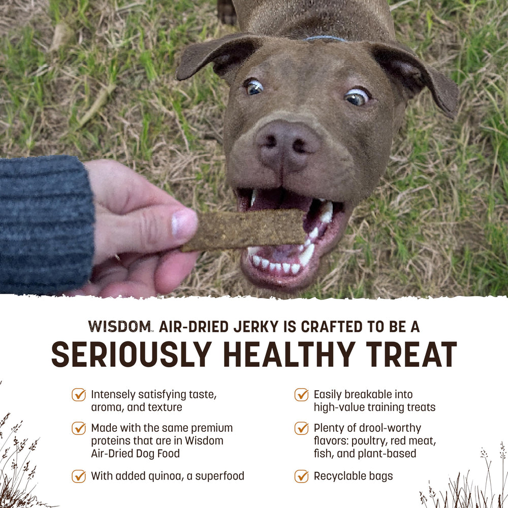 Texture douce et moelleuse des bandes de jerky pour chien.
