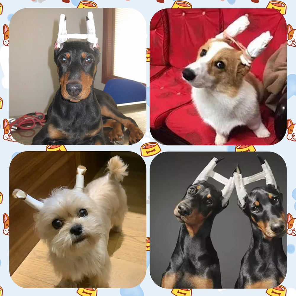 Polyvalent Tezuyok ruban oreille chien 1pouce, utile en plusieurs contextes.