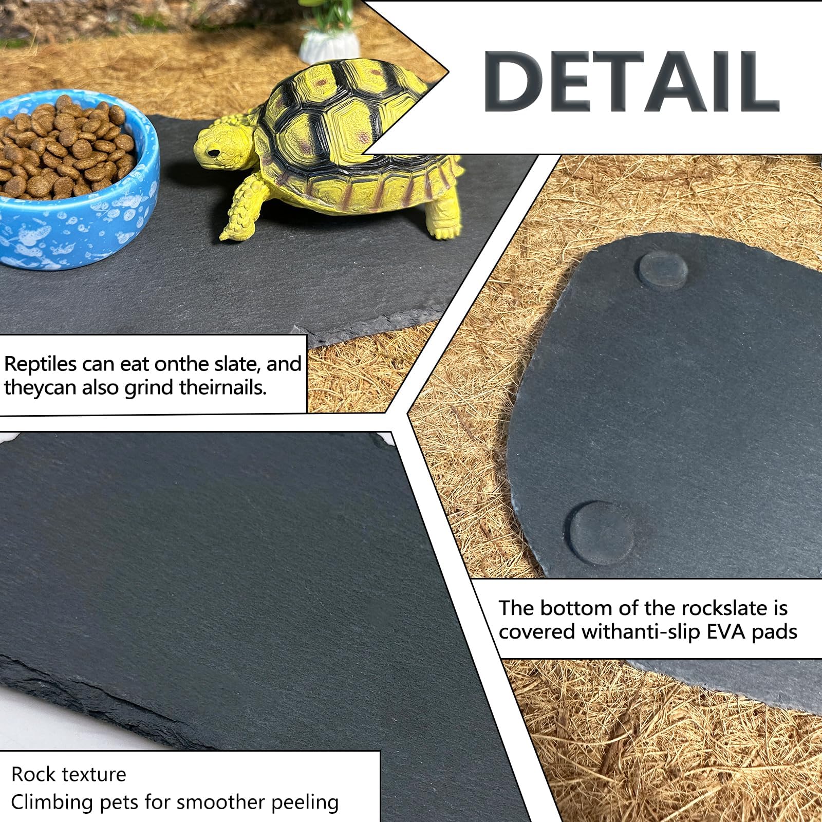 Tfwadmx assiette-alimentation-tortue facilite l alimentation sur place.
