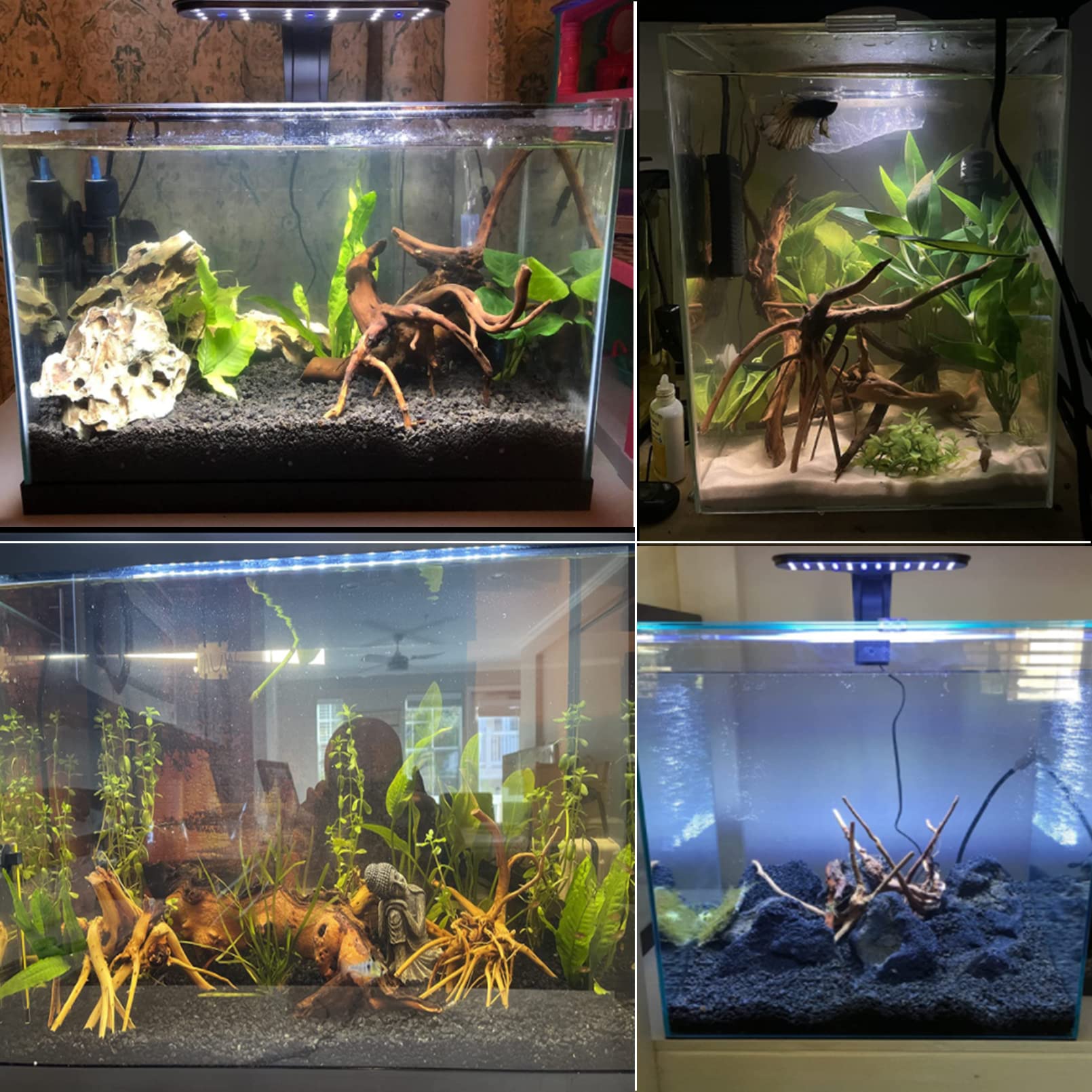 Tfwadmx bois flotté d'aquarium, pièce légère pour décoration et escalade reptile.