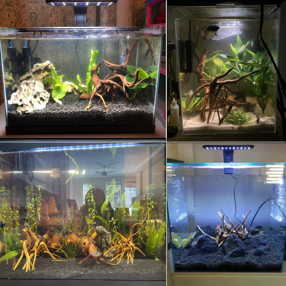Tfwadmx bois flotté d'aquarium, pièce légère pour décoration et escalade reptile.