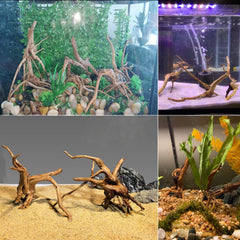 Tfwadmx bois flotté d'aquarium, décor distinctif qui attire poissons nocturnes.