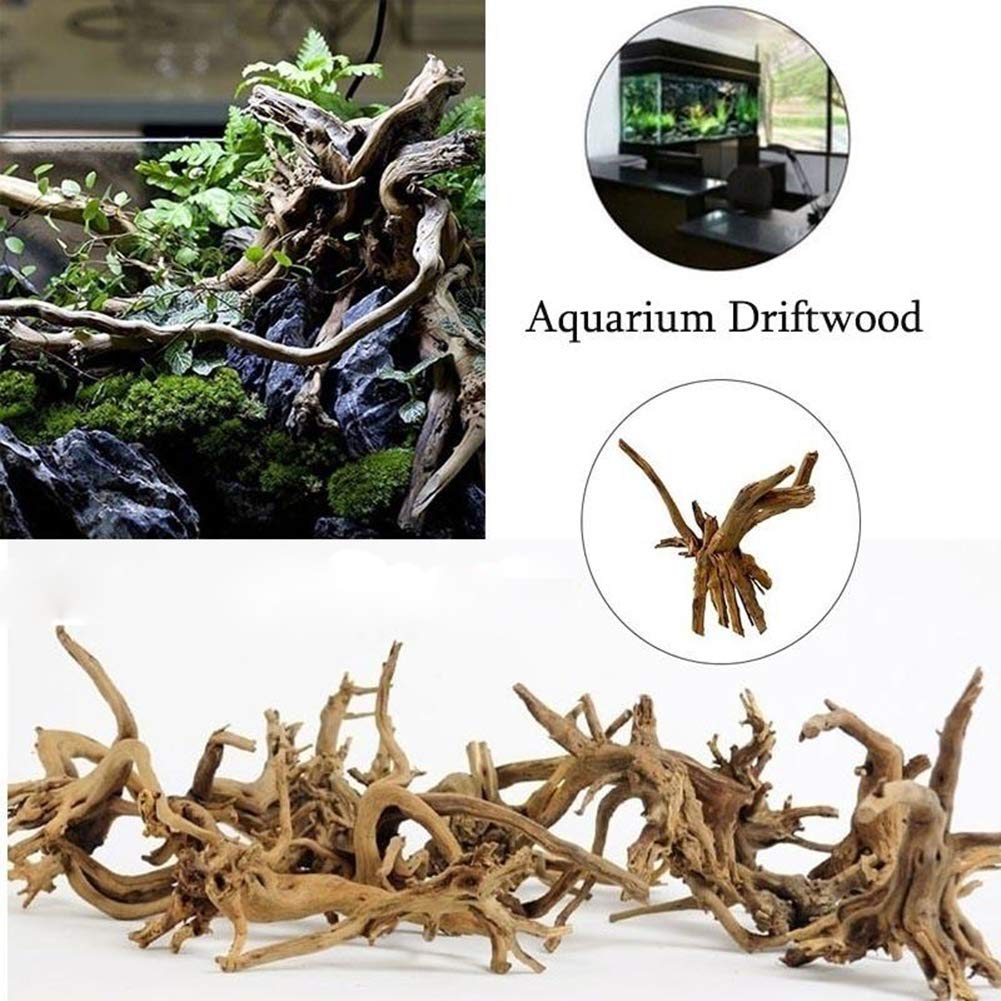 Tfwadmx bois flotté d'aquarium, parfait pour refuges subtils et colorés.