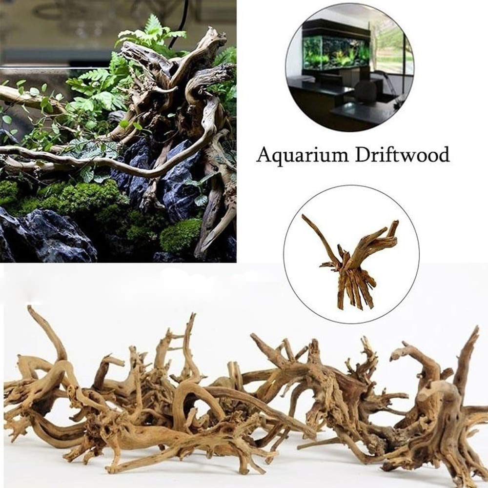Tfwadmx bois flotté d'aquarium, parfait pour refuges subtils et colorés.