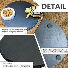 Tfwadmx bol alimentation pierre terrestre facilite l alimentation des reptiles.