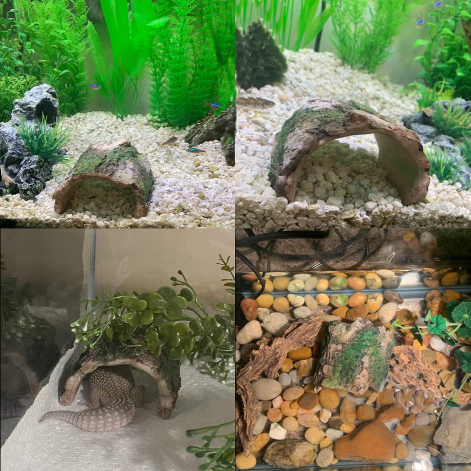 Tfwadmx cache-habitat refuge sécurisé pour petit poisson et crevette.