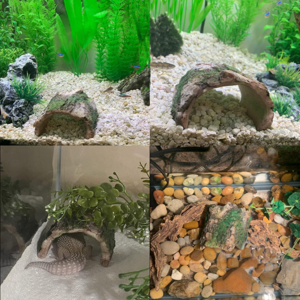 Tfwadmx cache-habitat refuge sécurisé pour petit poisson et crevette.