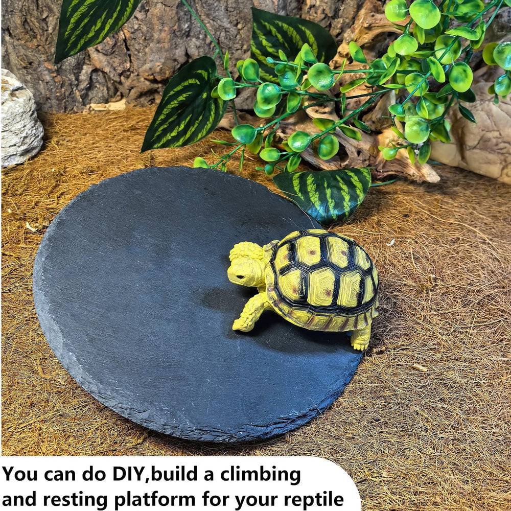 Tfwadmx compatibilite terrarium diverses reptiles.