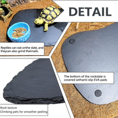Dalle rocheuse Tfwadmx – surface anti-glisse pour terrarium stable.