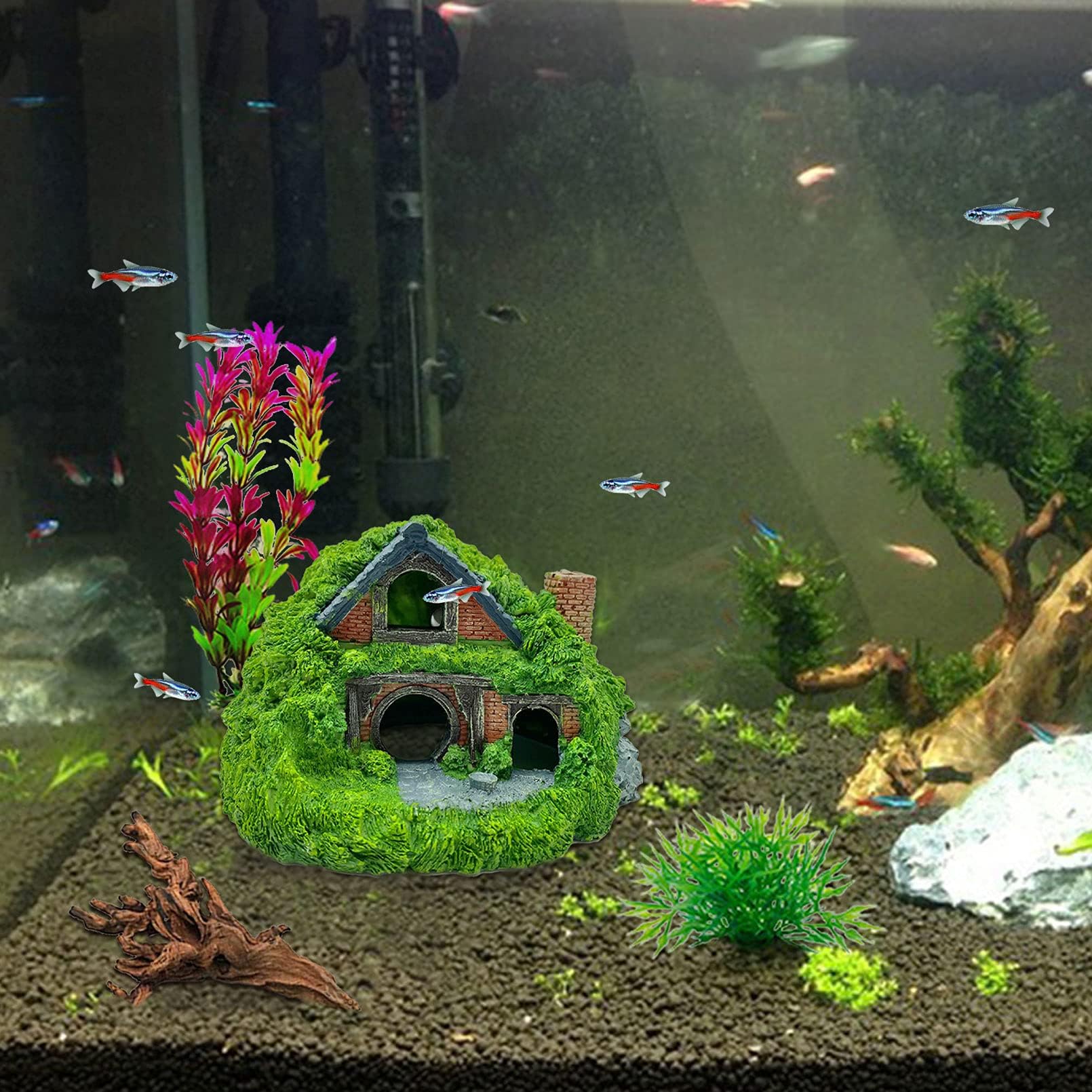Tfwadmx Ensemble-decoration-habitat: solution prête à personnaliser l’aquarium.