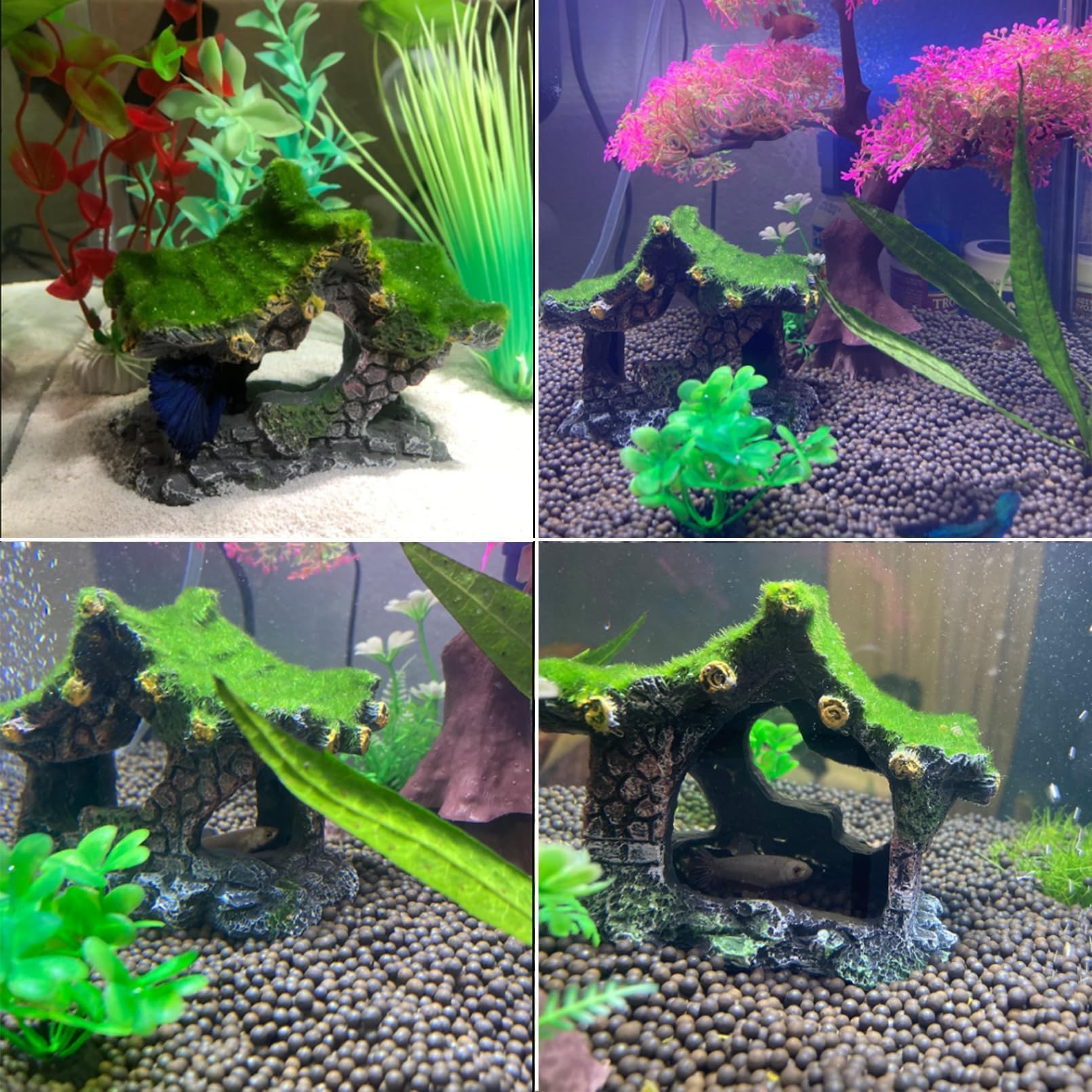 Tfwadmx habitat-cachette-aquarium-mousse décor vivant et point focal.