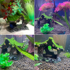 Tfwadmx habitat-cachette-aquarium-mousse décor vivant et point focal.