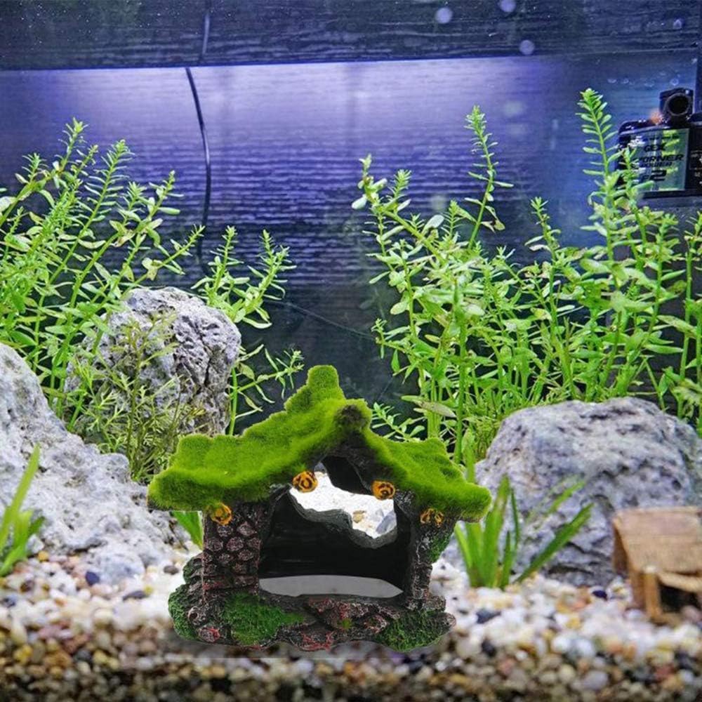 Tfwadmx nettoyage-cache-betta-aquarium facile à nettoyer et prêt à l'emploi.