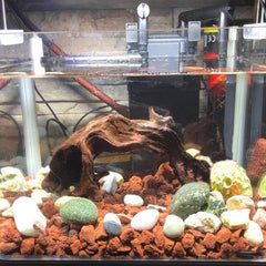 Tfwadmx pierre volcanique lave rouge, décor naturel pour terrarium et filtration légère