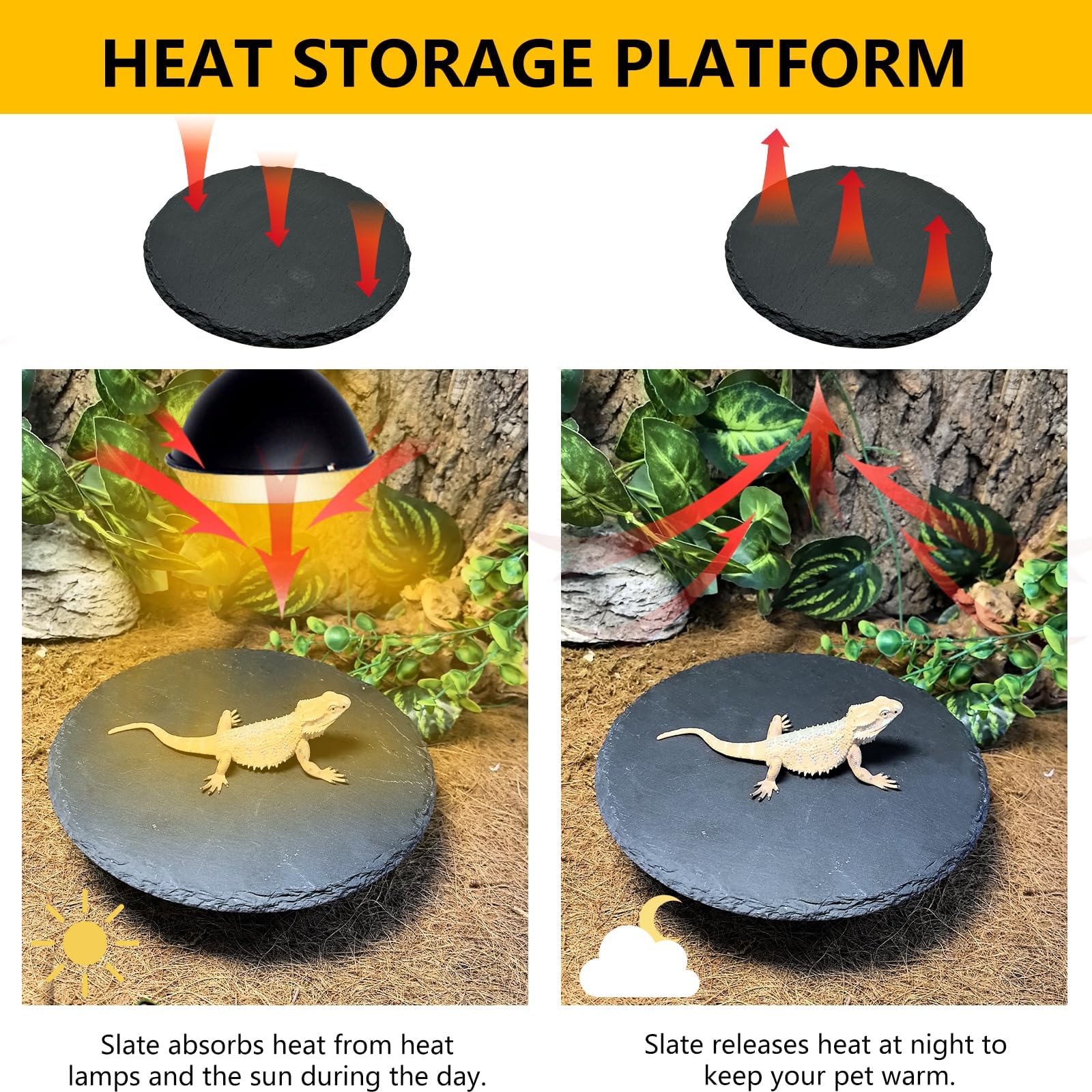 Tfwadmx plateau bain reptile procure un espace de baignade et repos.