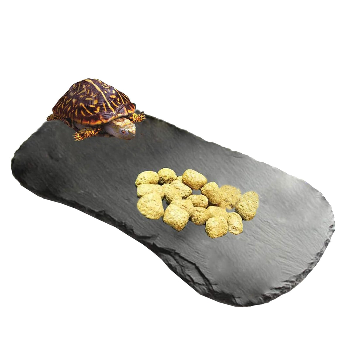 Plateforme Tfwadmx basking 13,5x8 – surface naturelle pour le repos et la chaleur.