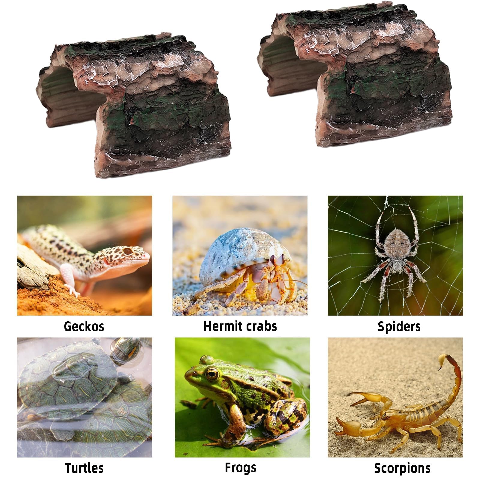 Tfwadmx utilisation pour arachnides et scorpions dans terrarium.