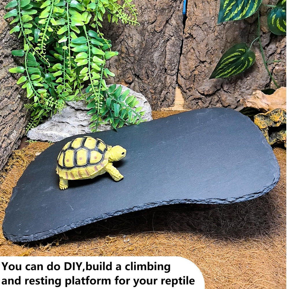 Utilisation multi-espèces Tfwadmx – tortue, lézard, dragon barbu et plus.