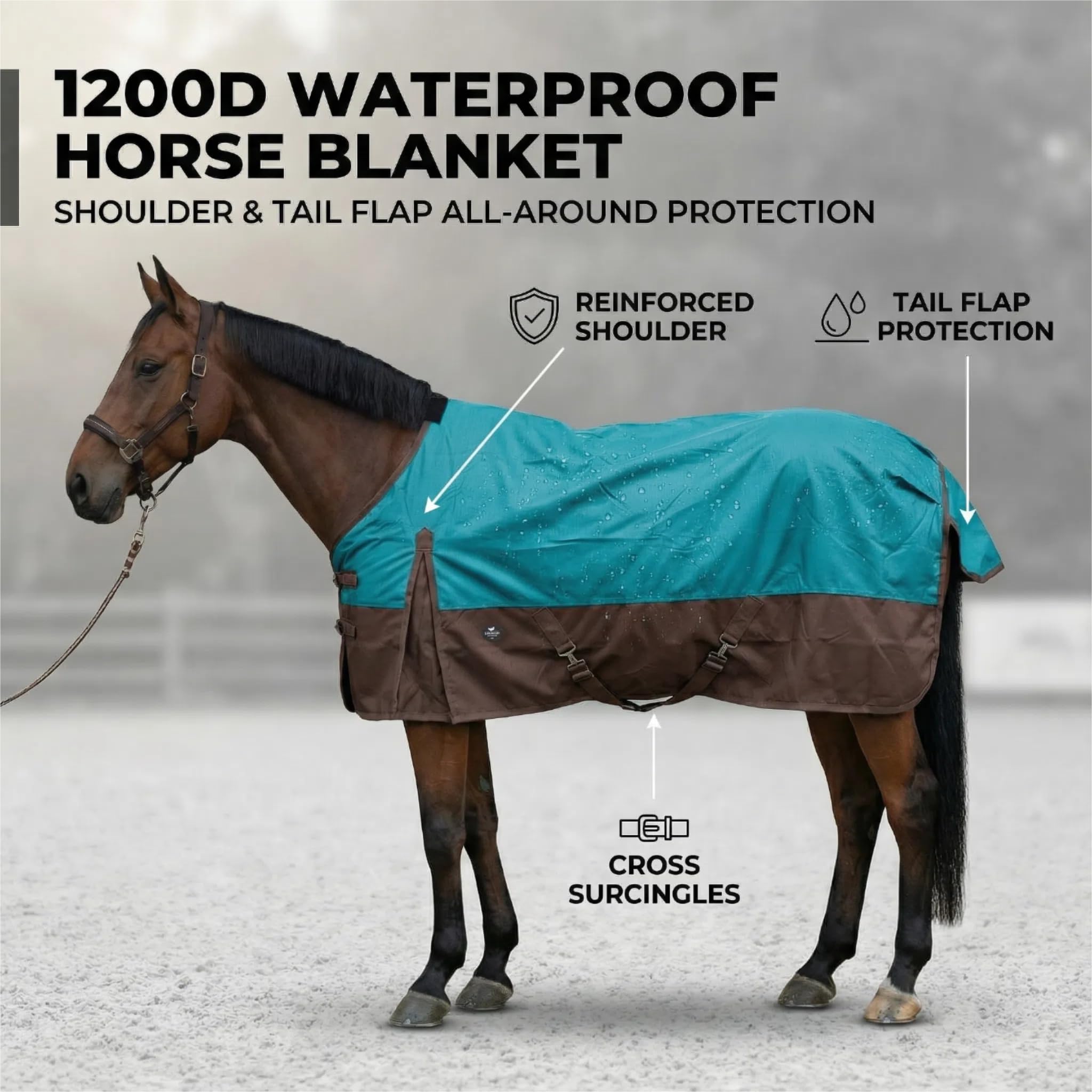 TGW RIDING couverture cheval garrot protégé, imperméable et confortable