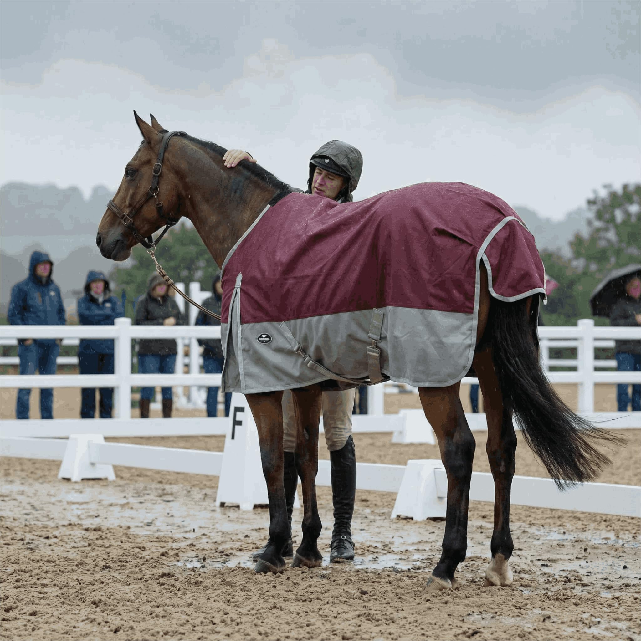 TGW RIDING sangles reglables et sangles de jambes pour maintien sûr.
