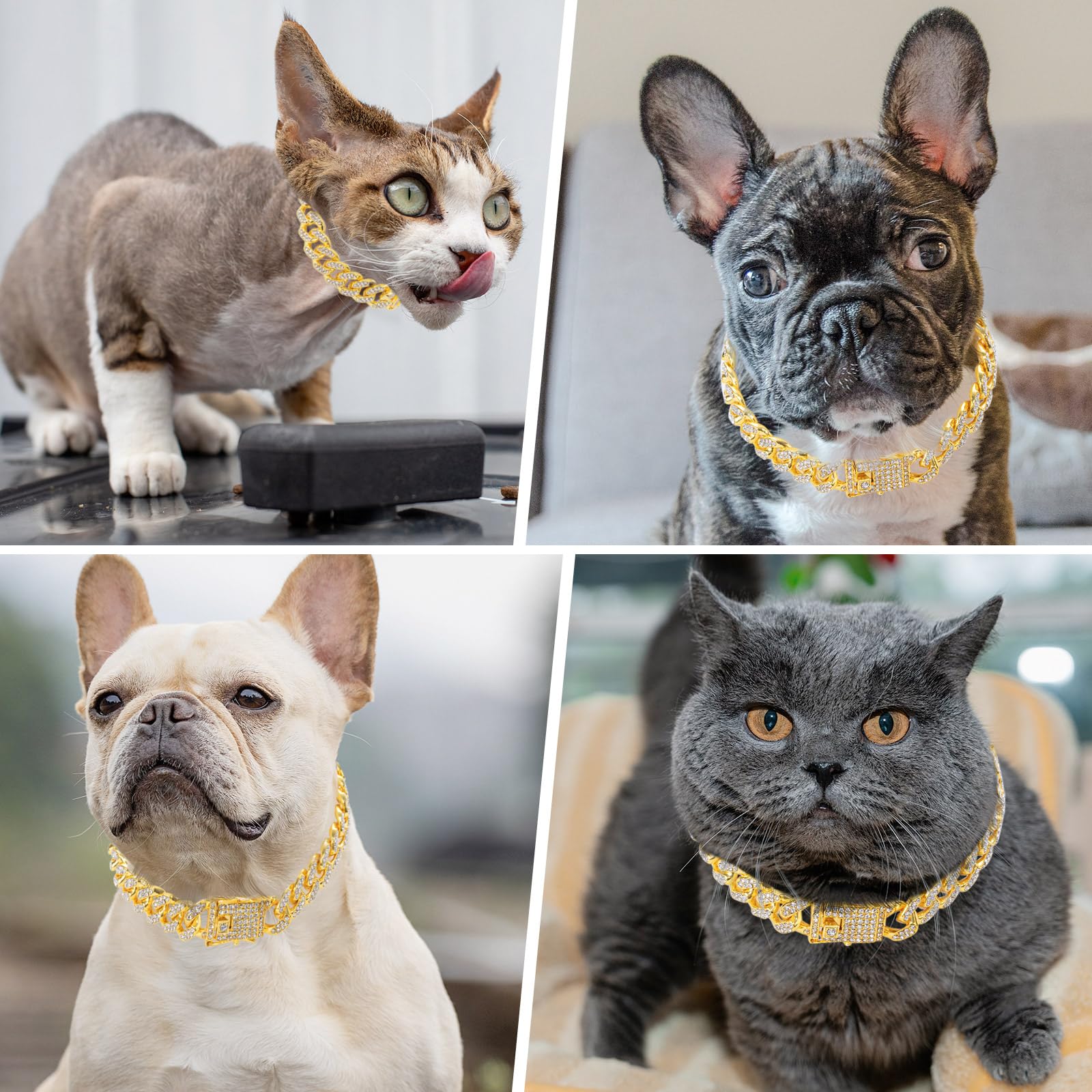 THAMIAO collier or-diamant pour chien et chat, idéal pour sublimer leur look.