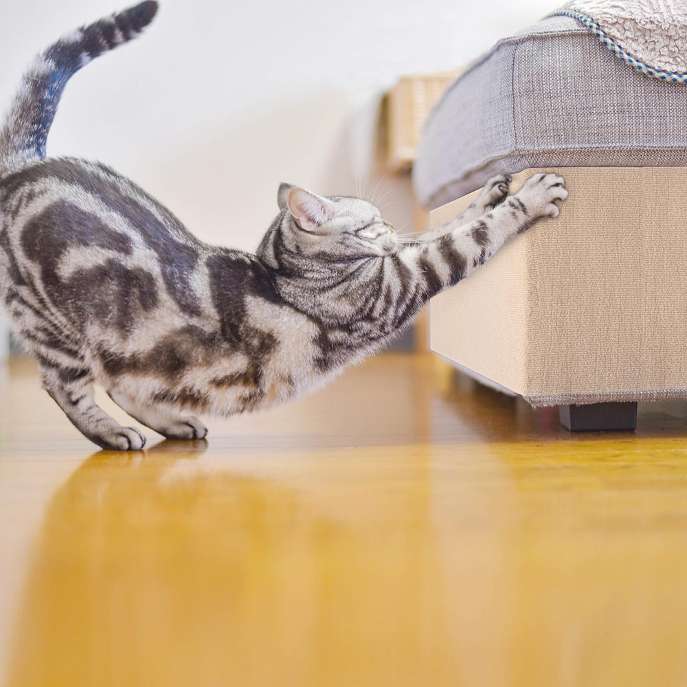 THAMIAO Tapis-griffes chat materiau durable ecology