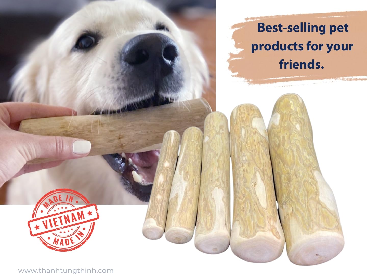 THATUWOOD chien mastication en action, favorise un jeu interactif et sain.